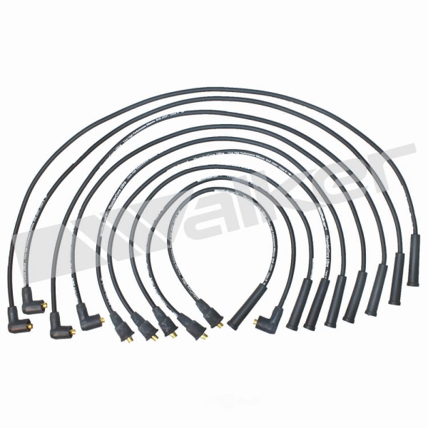 Walker Products Spark Plug Wire Set 924-1382