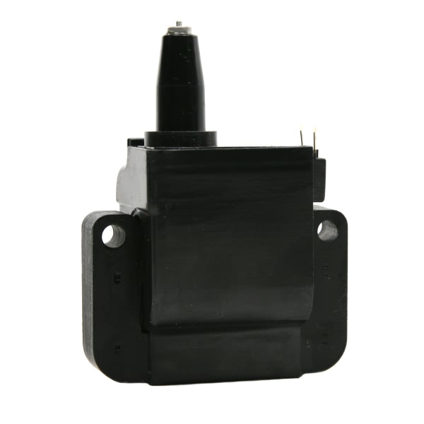 Delphi Ignition Coil GN10171