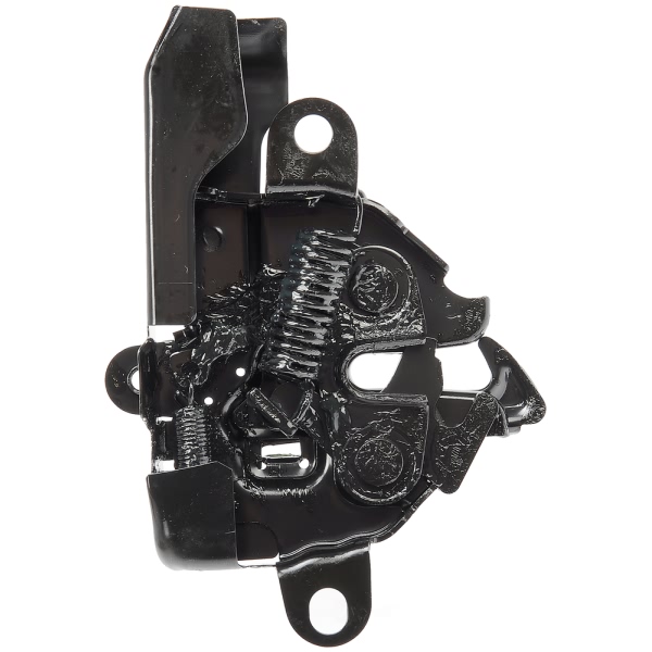 Dorman OE Solutions Hood Latch 820-341