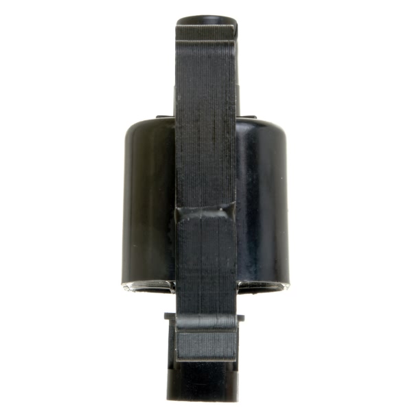 Delphi Ignition Coil GN10349