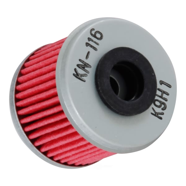 K&N Oil Filter KN-116