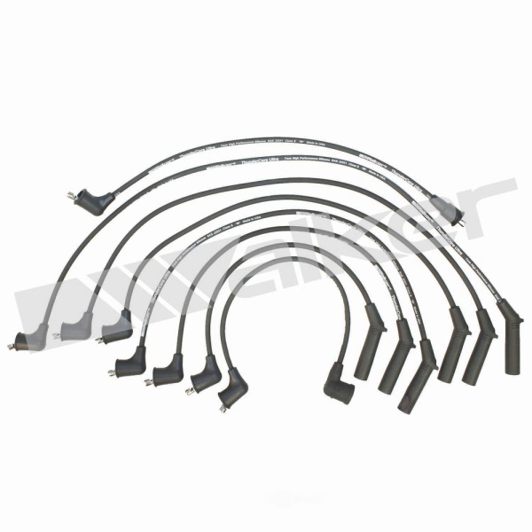 Walker Products Spark Plug Wire Set 924-1301