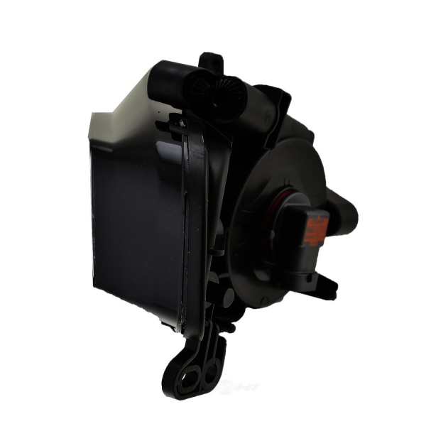 Hella Driver Side Replacement Fog Light 010832031