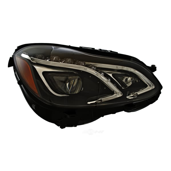 Hella Headlamp - Passenger Side 011066721