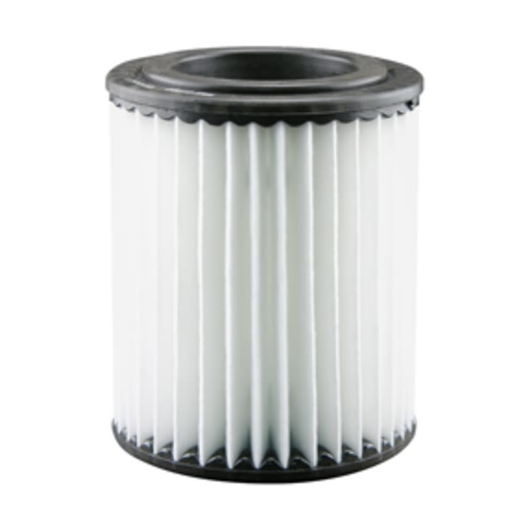 Hastings Radial Seal Air Element AF1134