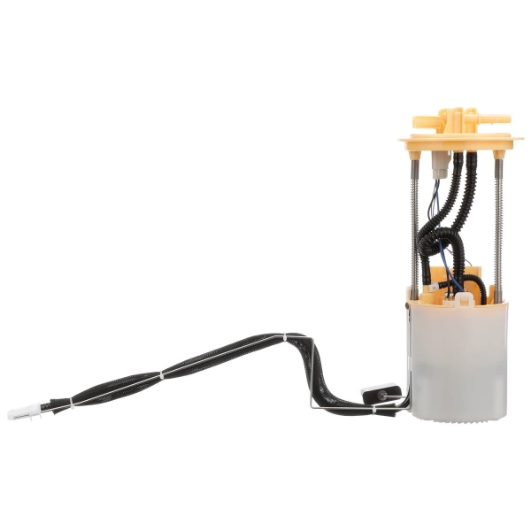 Delphi Fuel Pump Module Assembly FG1706