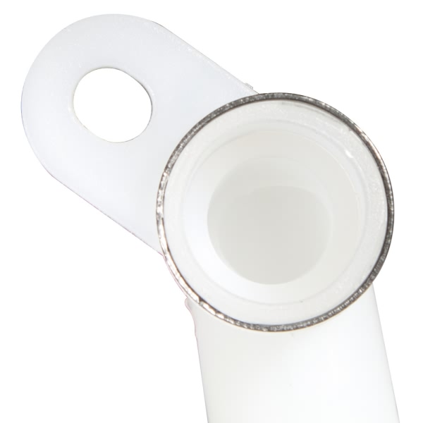 Delphi Fuel Pump Strainer FS0197
