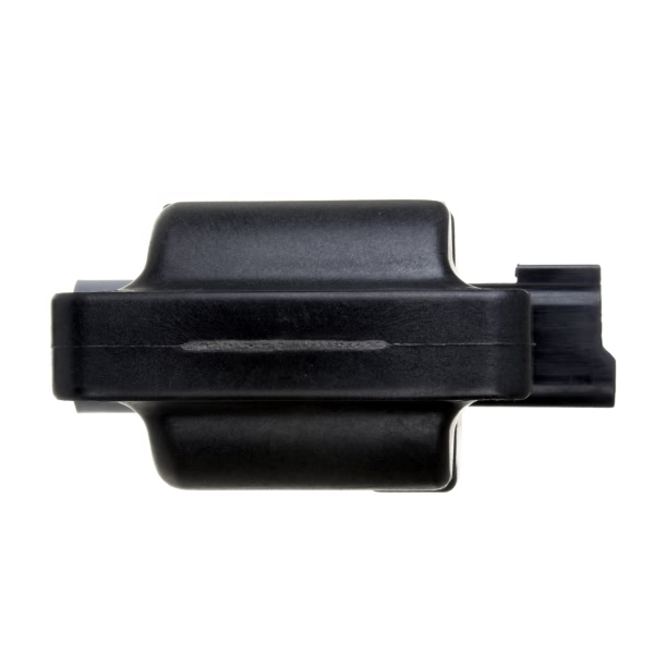 Delphi Ignition Coil GN10288