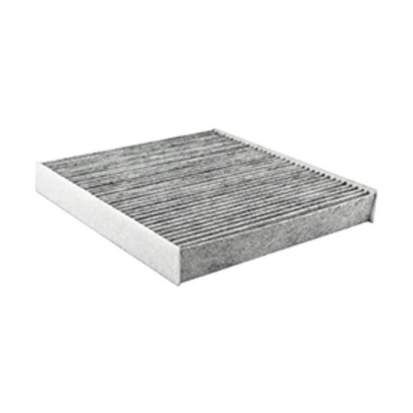 Hastings Cabin Air Filter AFC1650