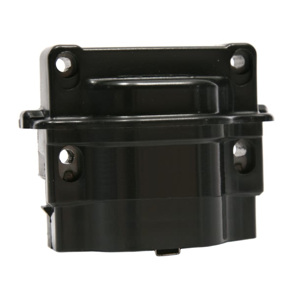 Delphi Ignition Coil GN10216