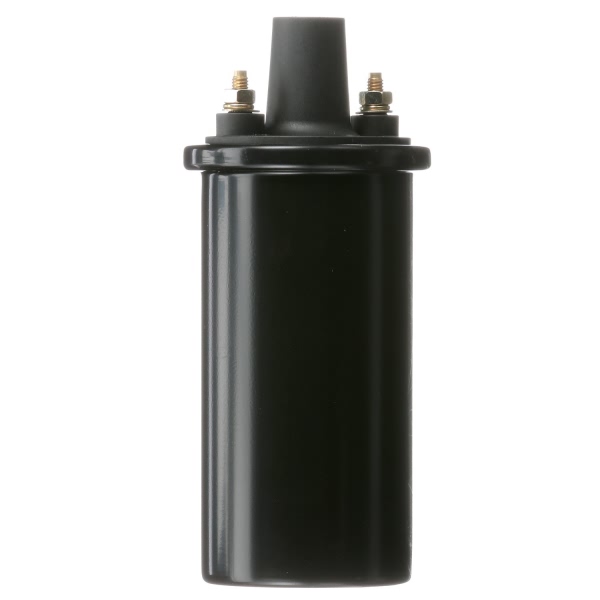 Delphi Ignition Coil GN10339