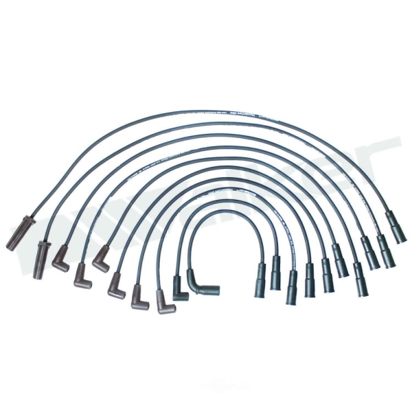 Walker Products Spark Plug Wire Set 924-1425