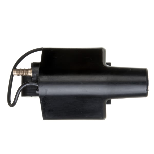 Delphi Ignition Coil GN10278