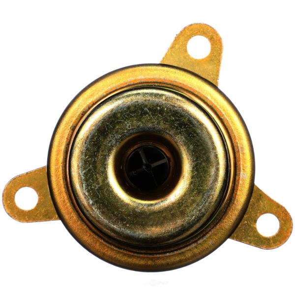 Delphi Fuel Injection Pressure Regulator FP10391