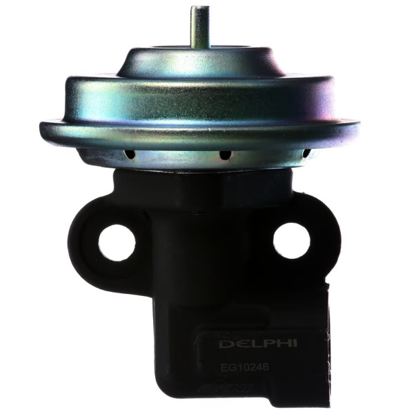 Delphi Egr Valve EG10246