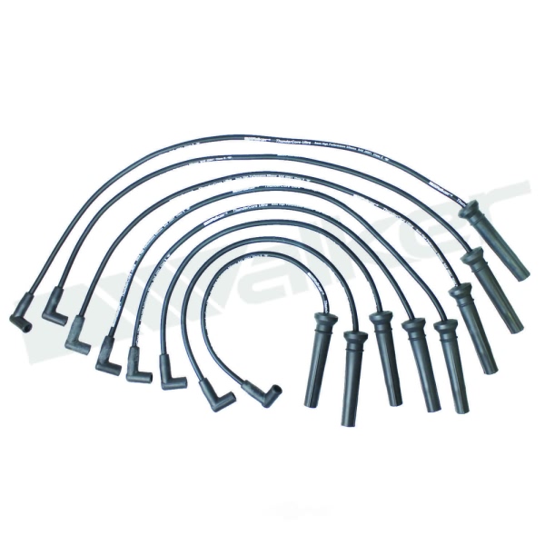 Walker Products Spark Plug Wire Set 924-1524