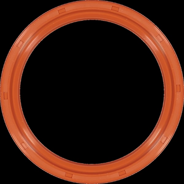 Victor Reinz Rear Crankshaft Seal 81-22887-00