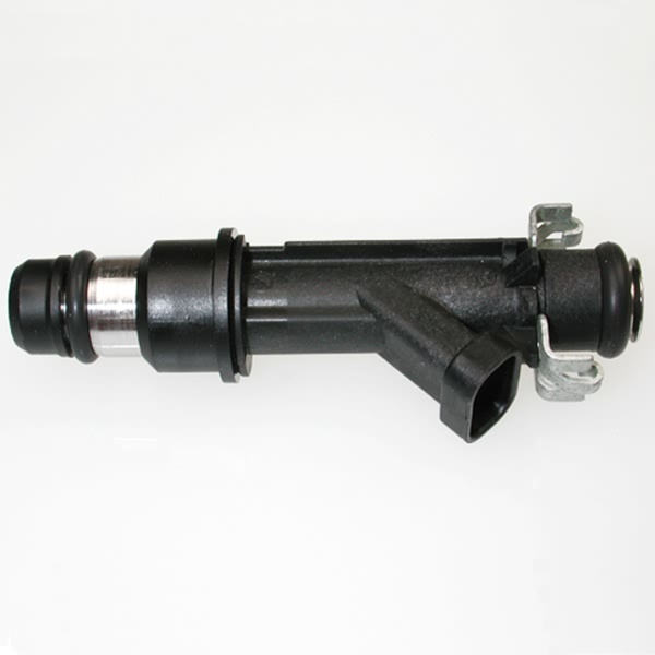 Delphi Fuel Injector FJ10065