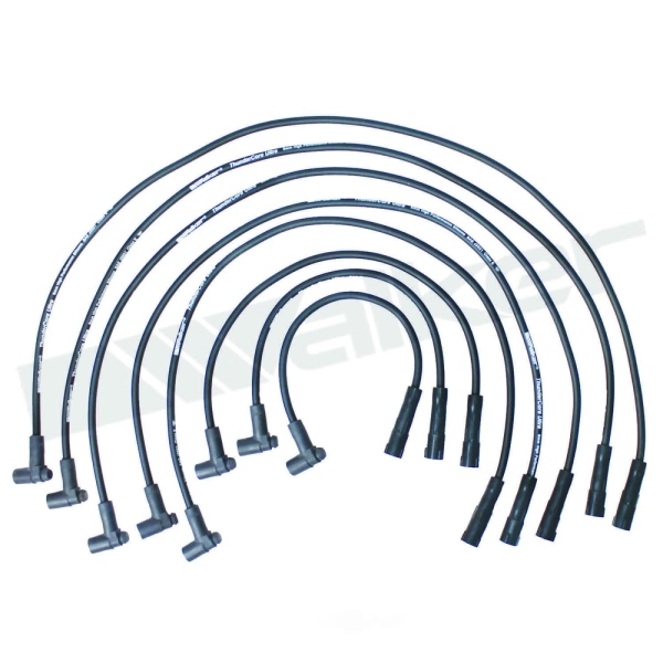 Walker Products Spark Plug Wire Set 924-1601