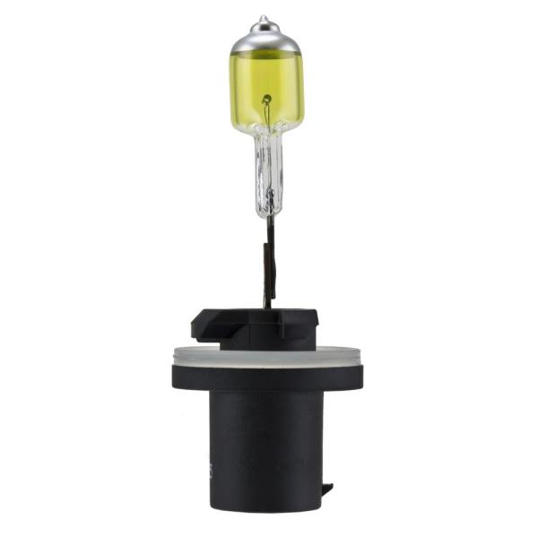 Hella 893 Design Series Halogen Light Bulb H71071192