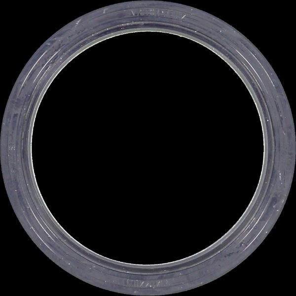 Victor Reinz Crankshaft Seal 81-26249-10