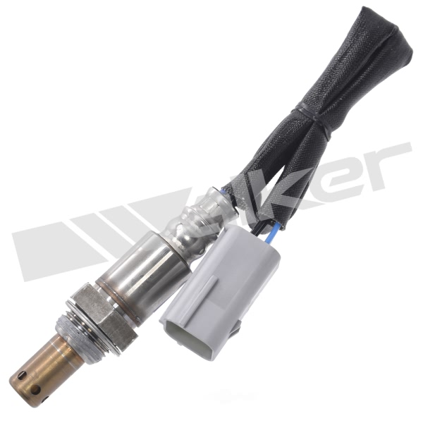 Walker Products Oxygen Sensor 350-64084