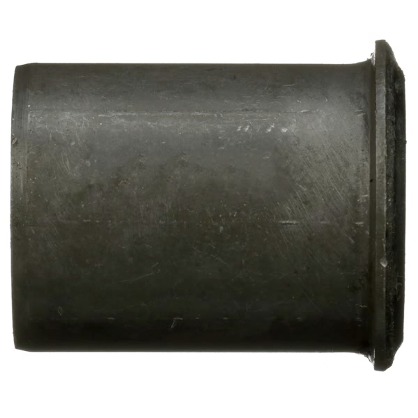 Delphi Front Lower Control Arm Bushing TD4895W