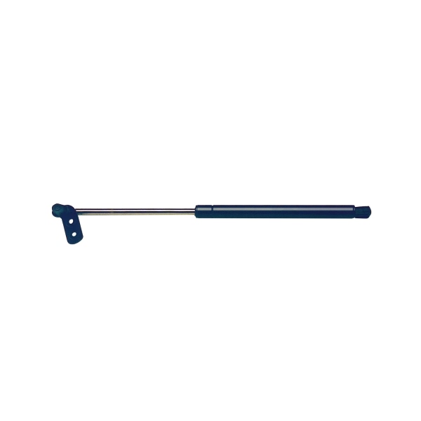StrongArm Passenger Side Liftgate Lift Support 4319R