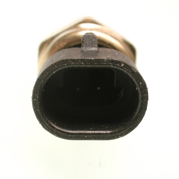 Delphi Coolant Temperature Sensor TS10076