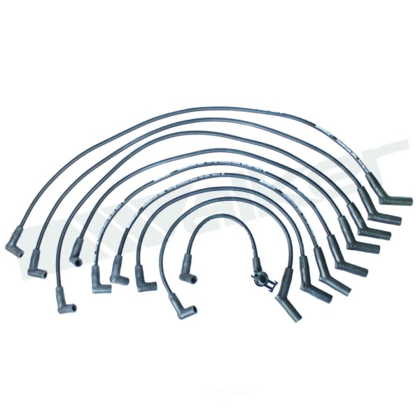 Walker Products Spark Plug Wire Set 924-1444