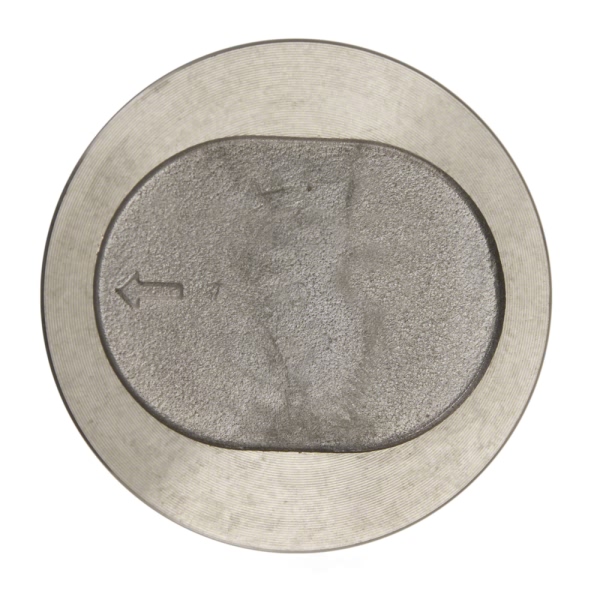 Sealed Power Engine Piston 803CP