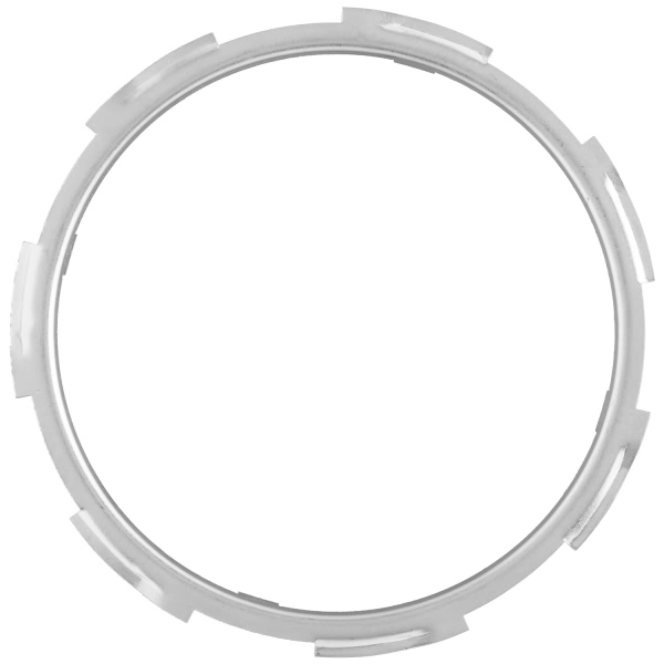 Delphi Fuel Tank Lock Ring FA10007