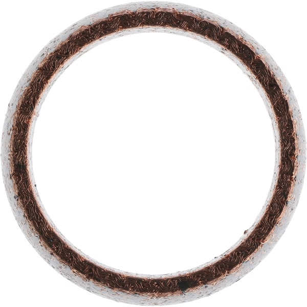 Victor Reinz Exhaust Pipe Flange Gasket 71-14317-00