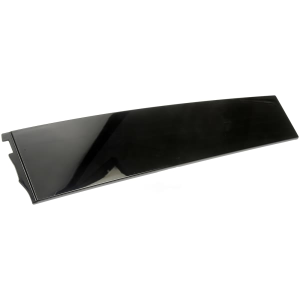 Dorman OE Solutions Rear Passenger Side Door Applique 926-248