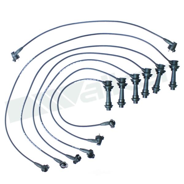 Walker Products Spark Plug Wire Set 924-1491