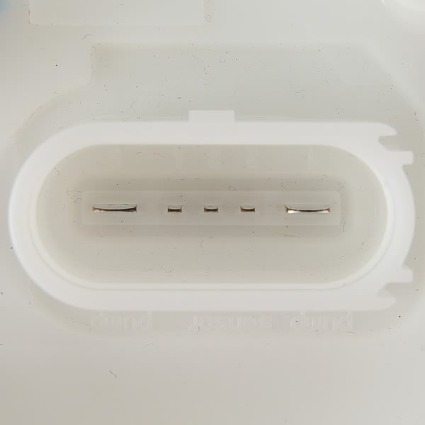 Delphi Fuel Pump Module Assembly FG1273