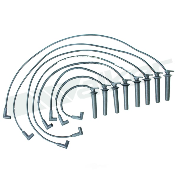 Walker Products Spark Plug Wire Set 924-1469