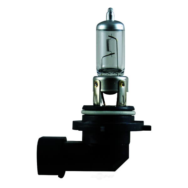 Hella 9006P50 Performance Series Halogen Light Bulb 9006P50