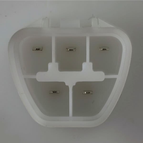 Delphi Fuel Pump Module Assembly FG1173