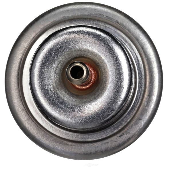 Delphi Fuel Injection Pressure Regulator FP10385