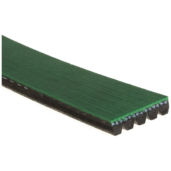 Gates Fleetrunner Micro V Heavy Duty V Ribbed Belt K050336HD