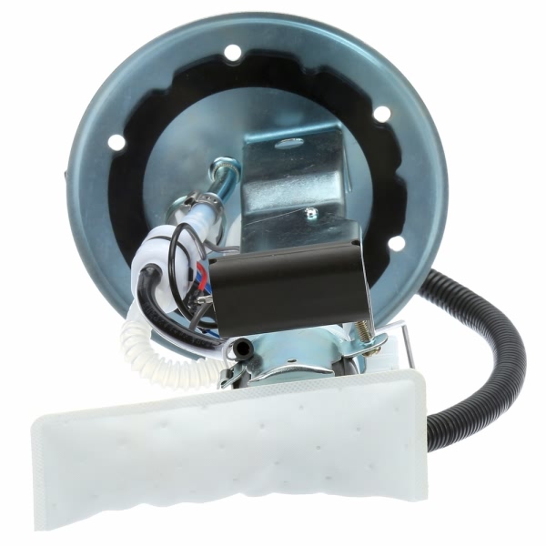 Delphi Fuel Pump And Sender Assembly HP10196