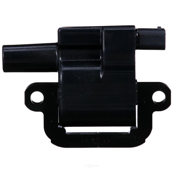 Delphi Ignition Coil GN10847