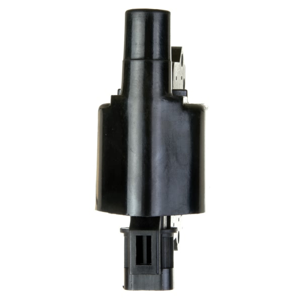 Delphi Ignition Coil GN10349