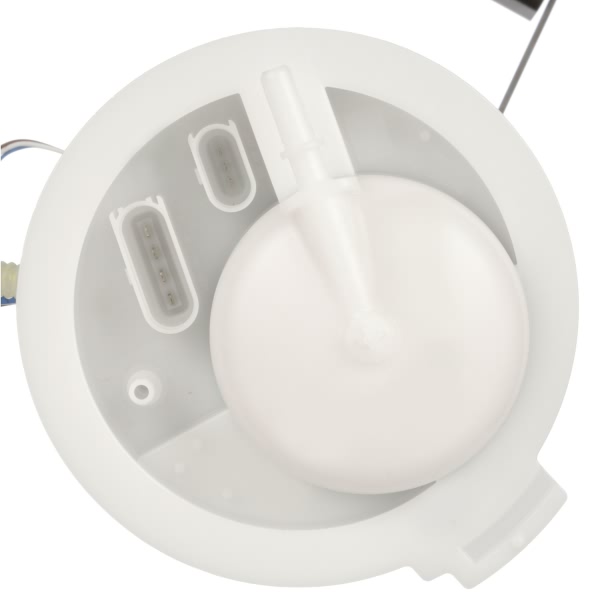 Delphi Fuel Pump Module Assembly FG2087