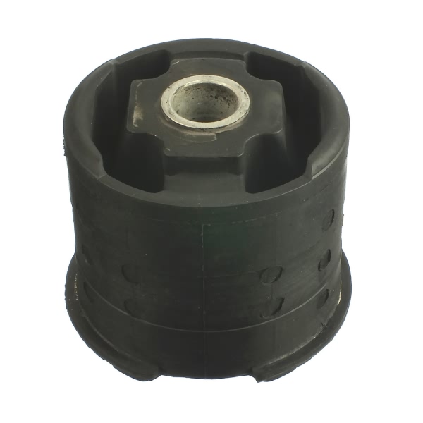 Delphi Rear Lower Axle Support Bushing TD1060W