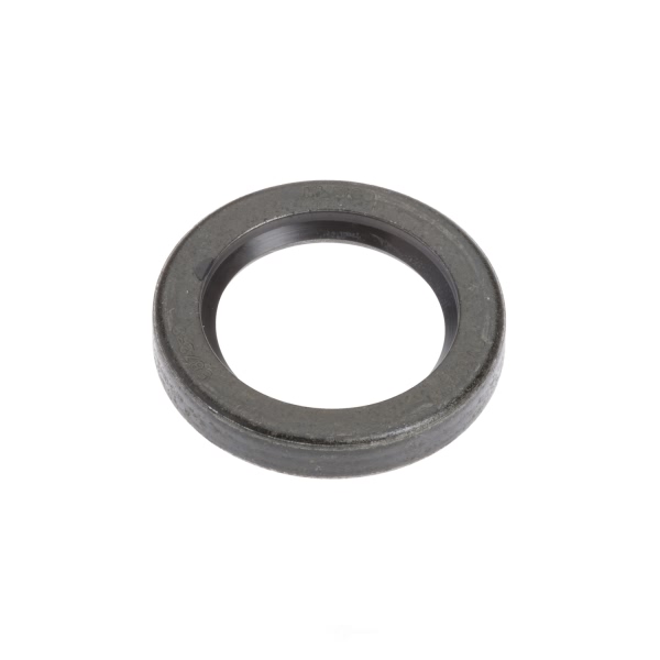 National Axle Shaft Seal 5872S