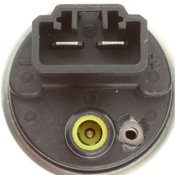 Delphi Fuel Pump And Strainer Set FE0700