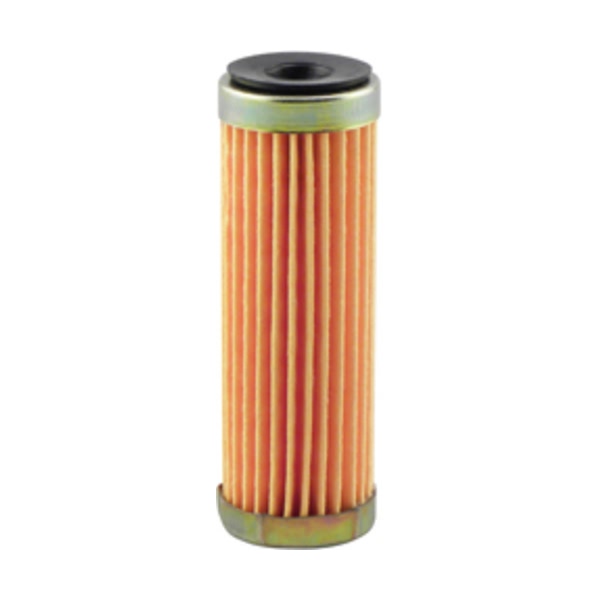 Hastings Fuel Filter Element GF87