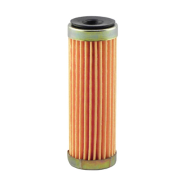 Hastings Fuel Filter Element GF87